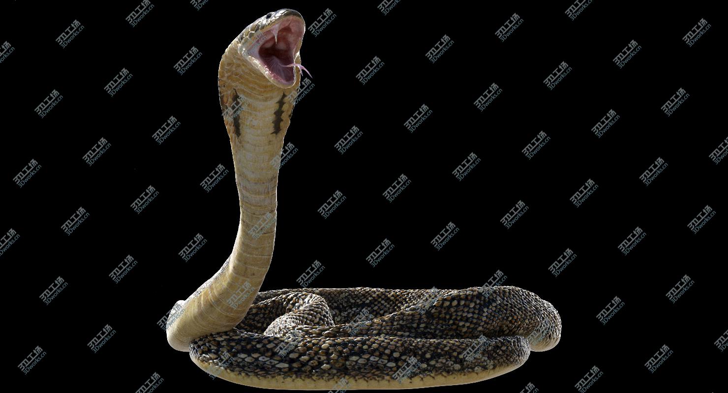 images/goods_img/20210113/3D Snake (Rigged)/3.jpg